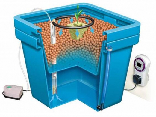 Значение рН питательной среды и СО2 