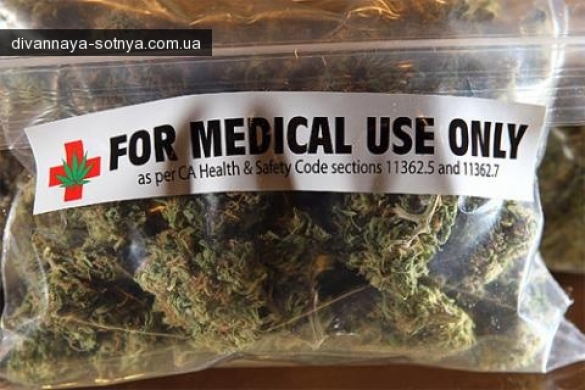 Грамотное использование конопли улучшит ваше состояние!