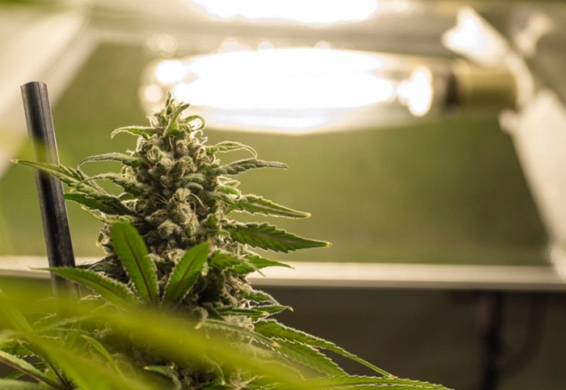 Что такое индор