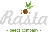 https://rasta-seeds.com.ua/Media/pic/hd_logo.png